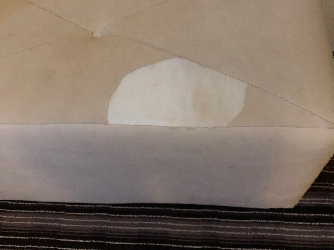 Comfort Suites Mandeville - Covington主图