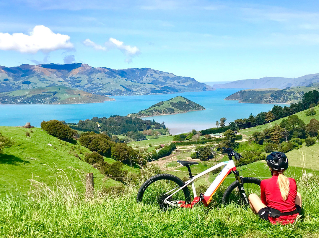 Akaroa Ebike Safaris景点图片