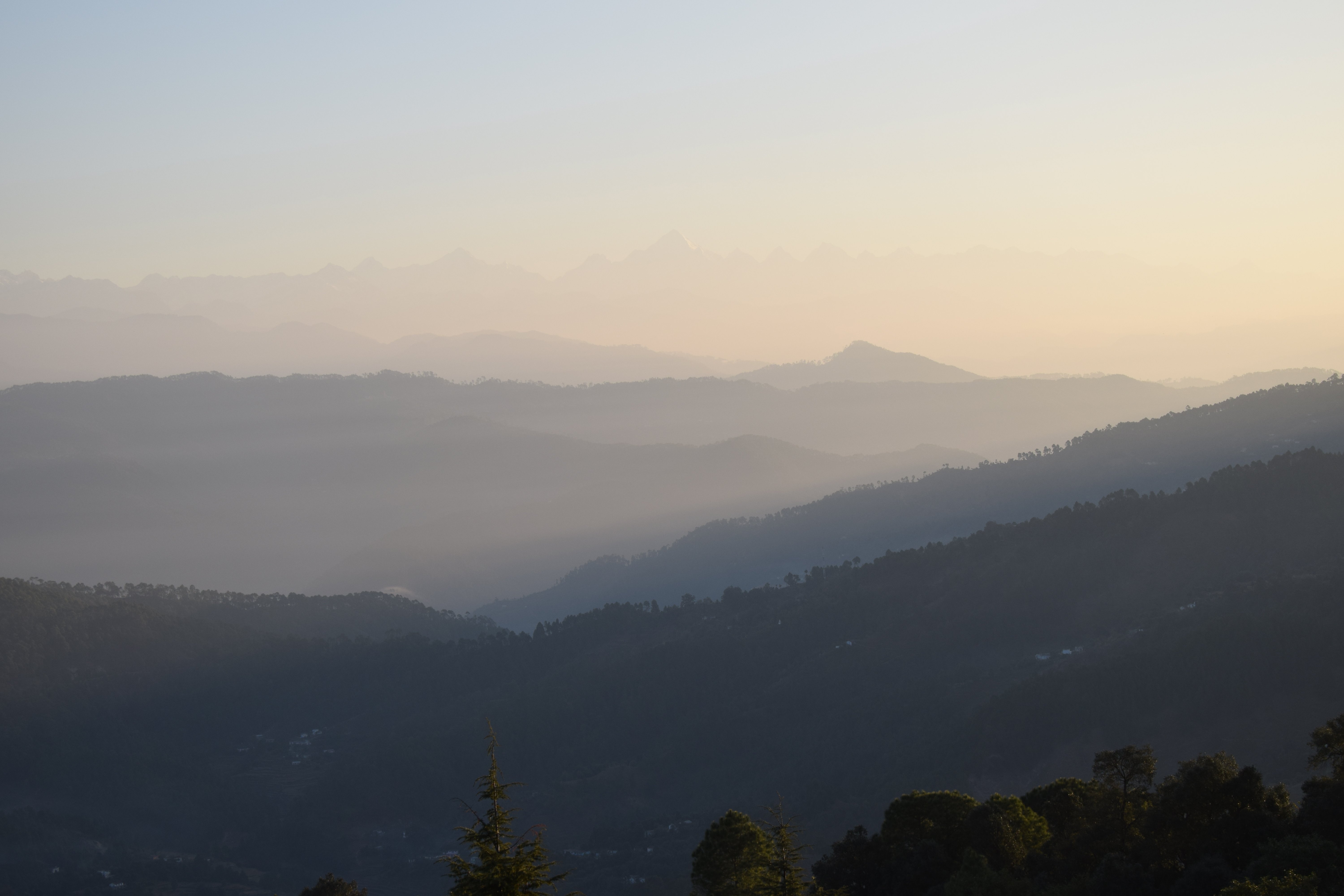 Kausani Best Inn-酒店景观