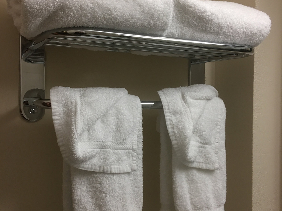 The Capitol Hotel主图