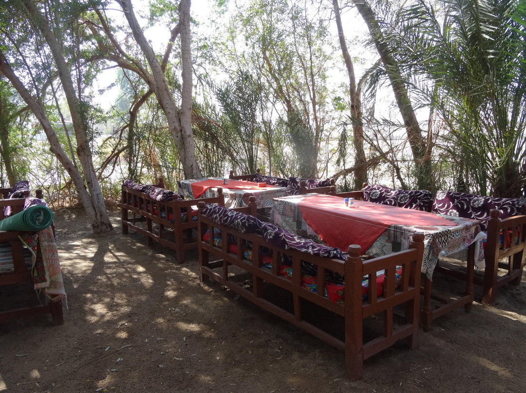 Nour El Gourna主图