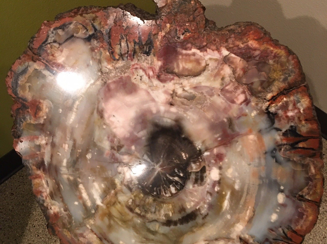 Victor Valley Museum-Apple Valley必去景点