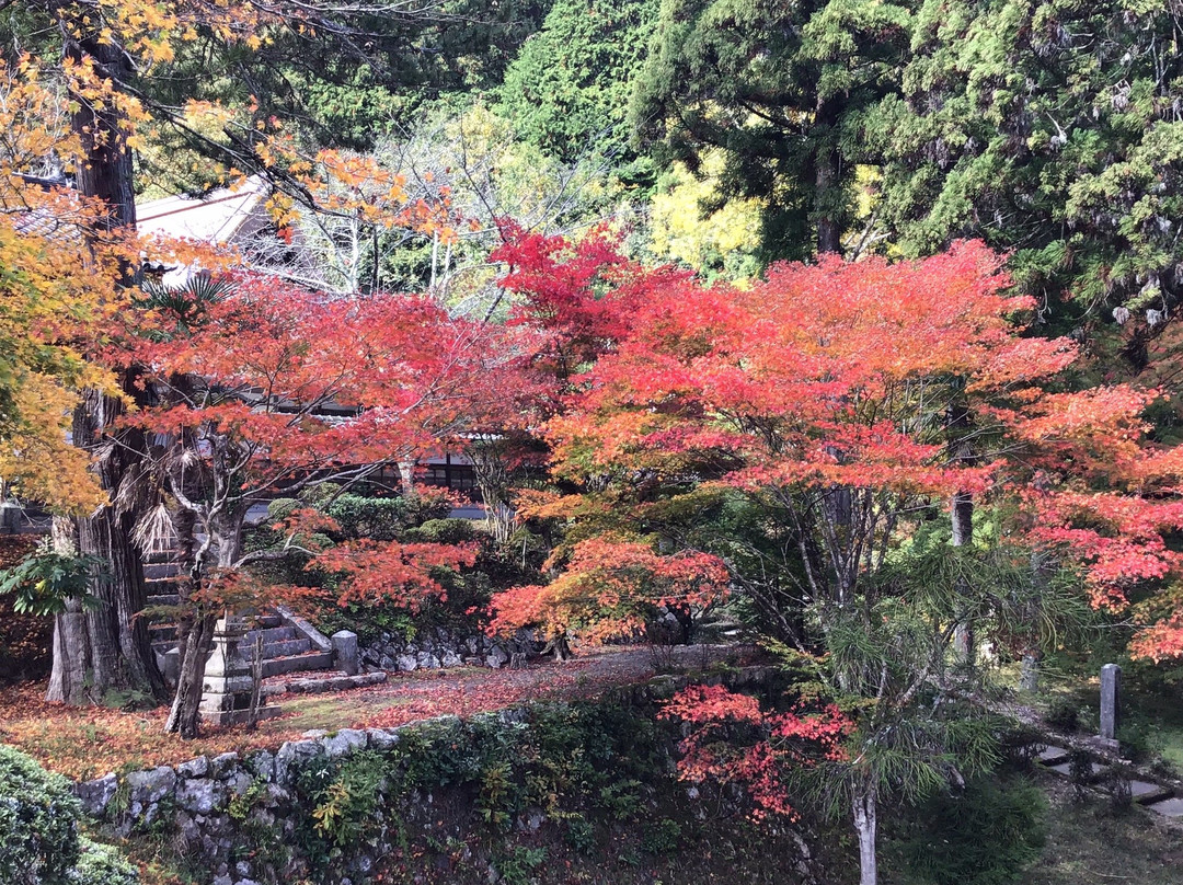 Ryuonji Temple-南丹市必去景点