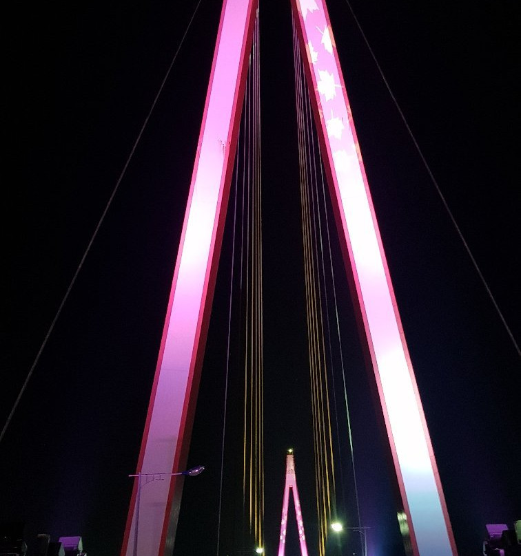 Dolsan Bridge-丽水市必去景点