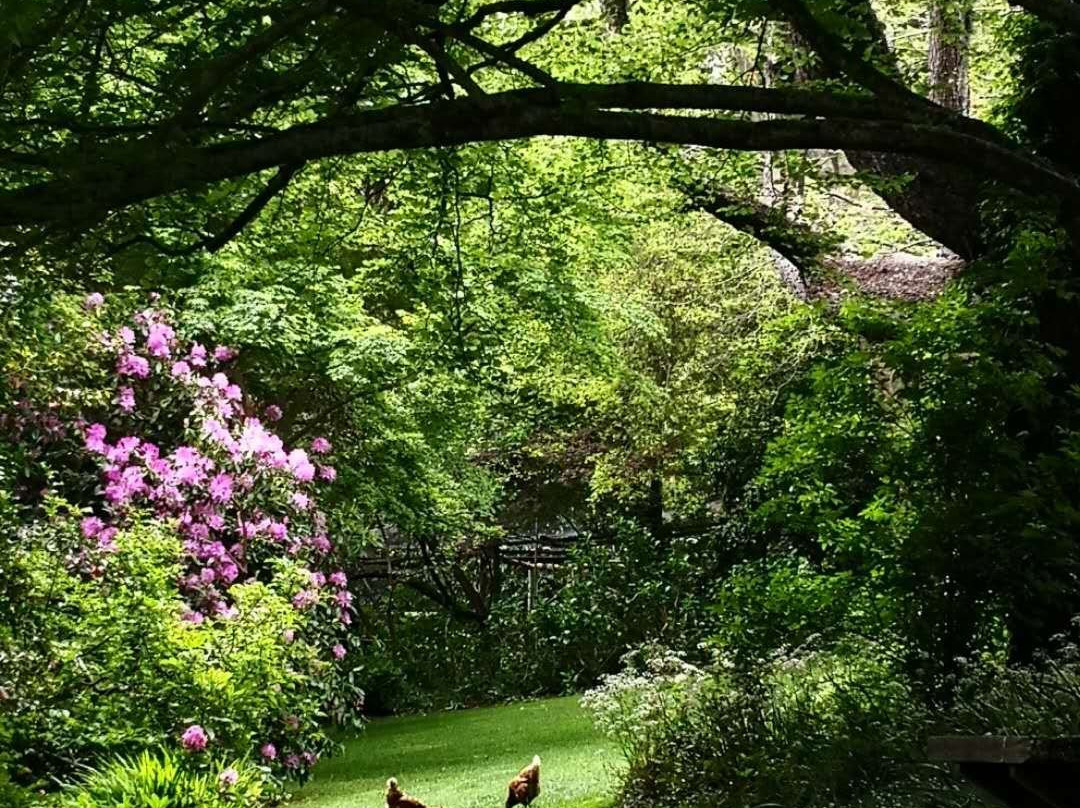 Gardens of Tieve Tara-马其顿山必去景点