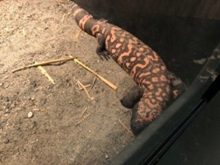 The Reptile Zoo-Monroe必去景点