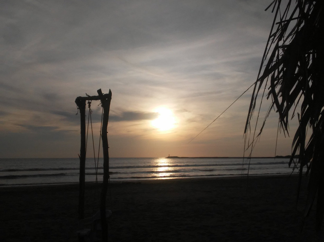 Playa El Borrego景点图片