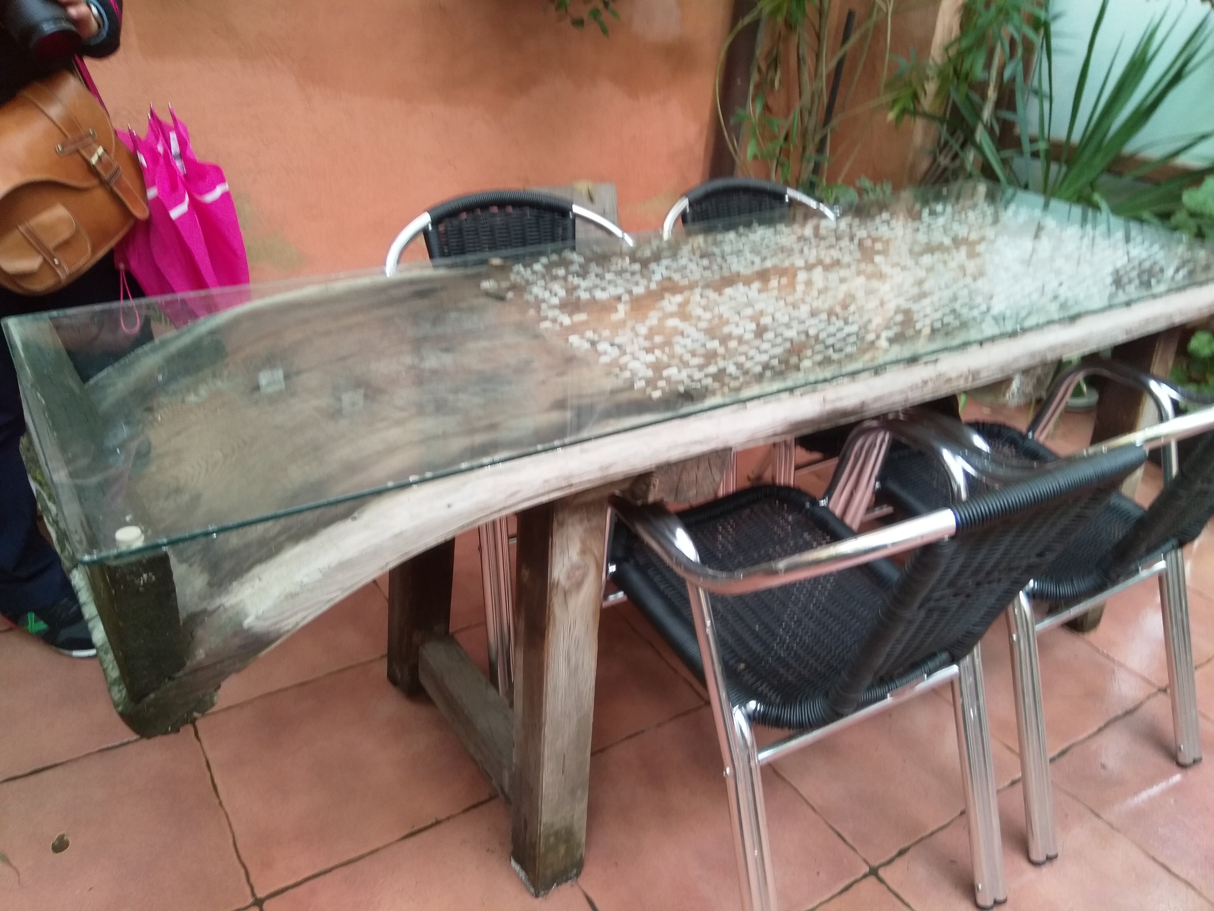 Albergueria del Camino-餐饮