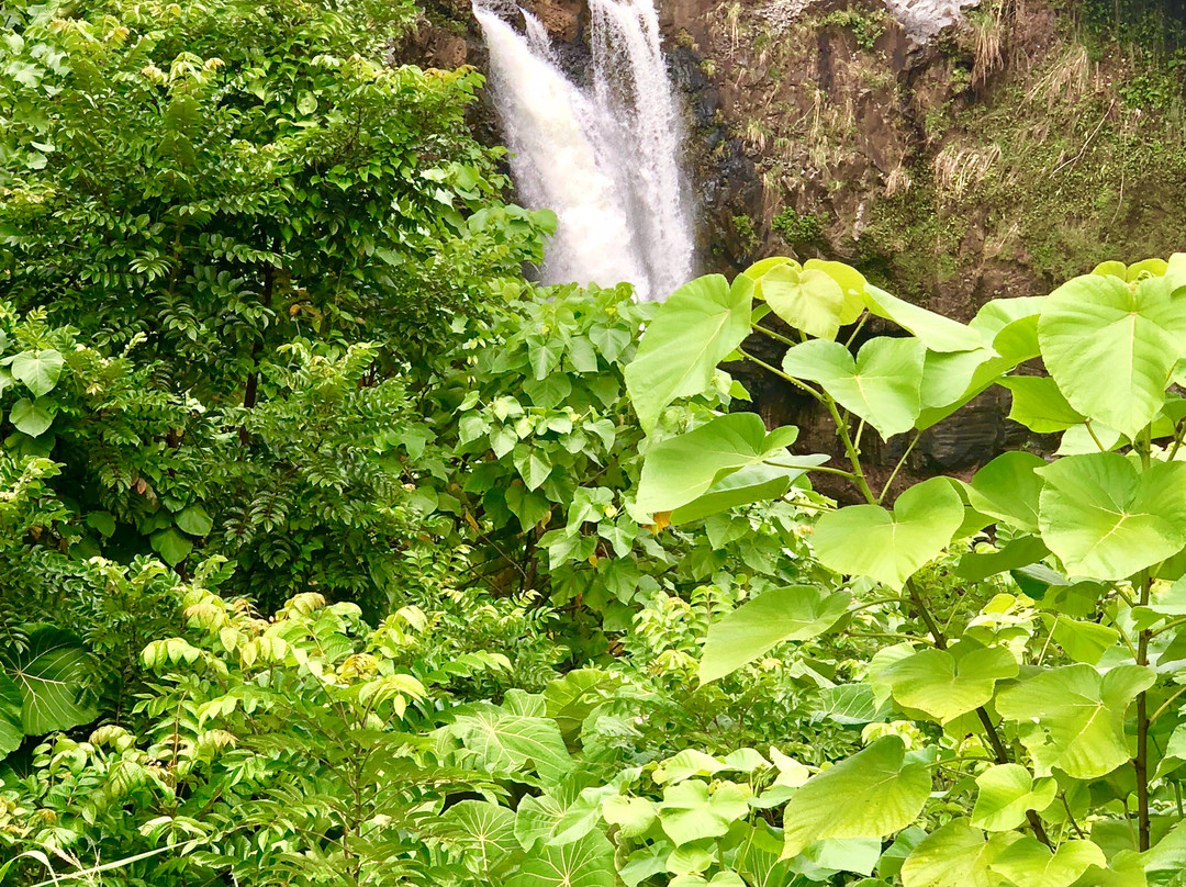 瓦伊鲁库河州立公园景点图片