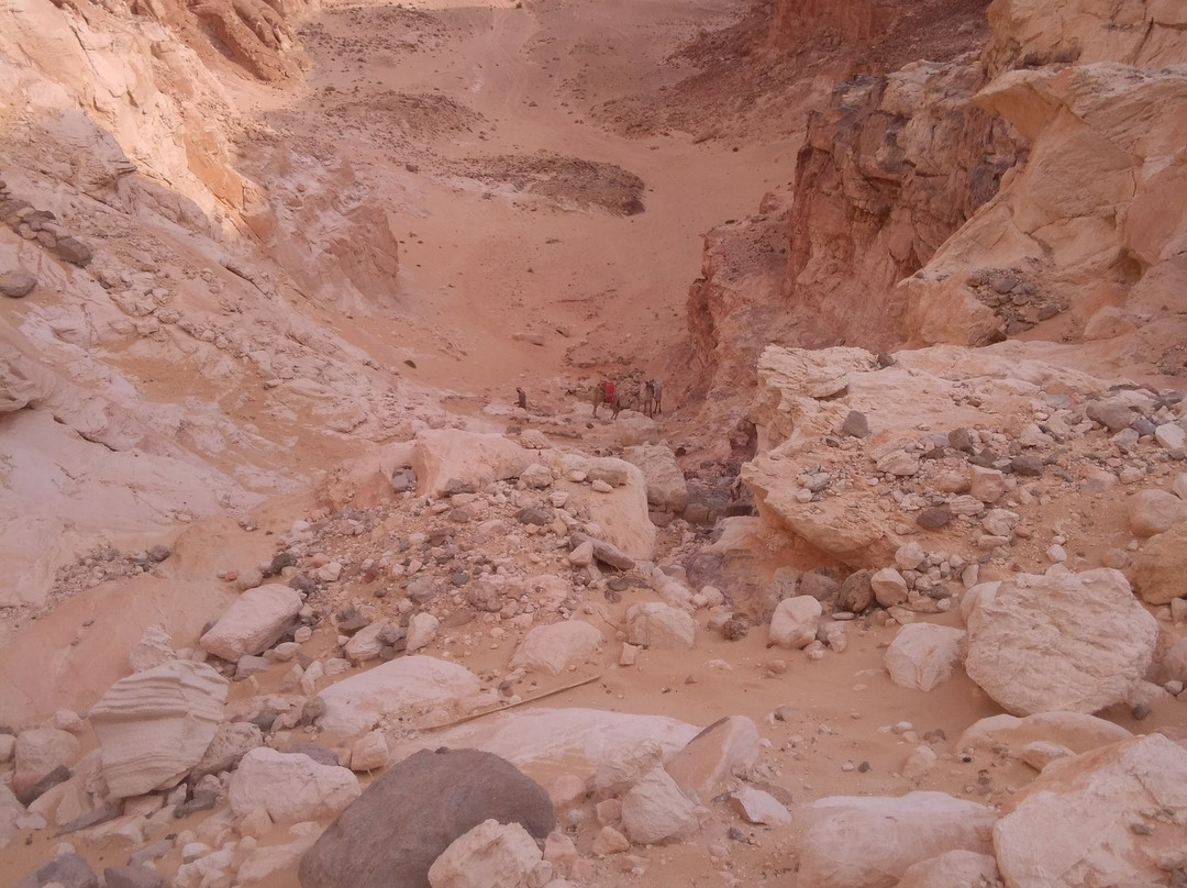 Ain Khudra-努威巴必去景点