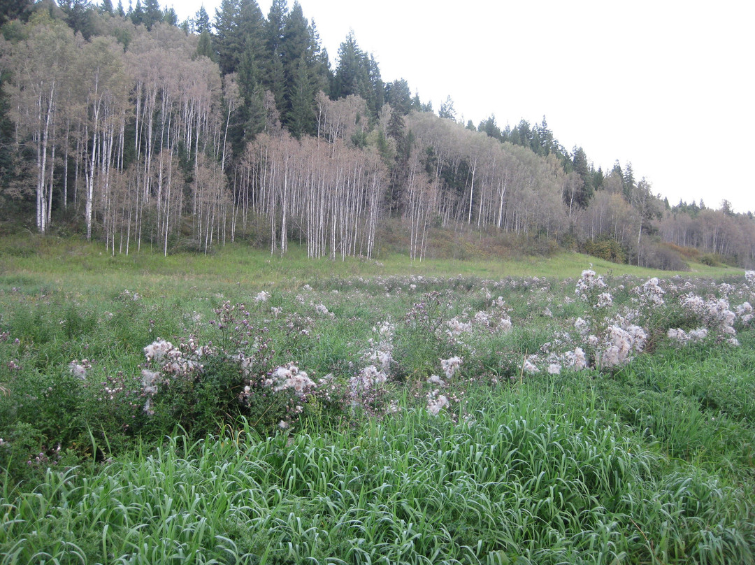 Moore's Meadow Park景点图片