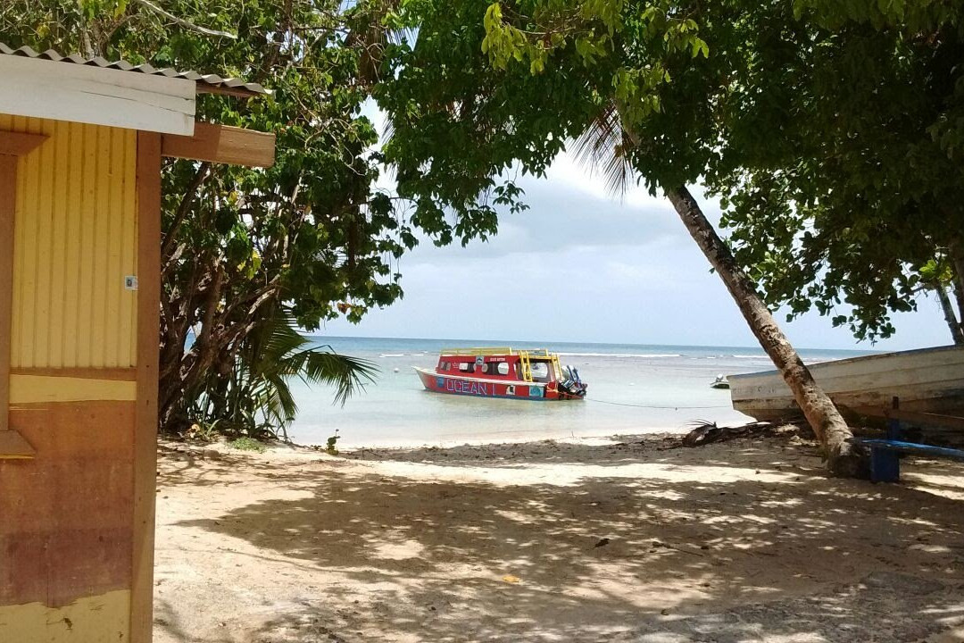 Tobago Fun Island Tours-多巴哥必去景点