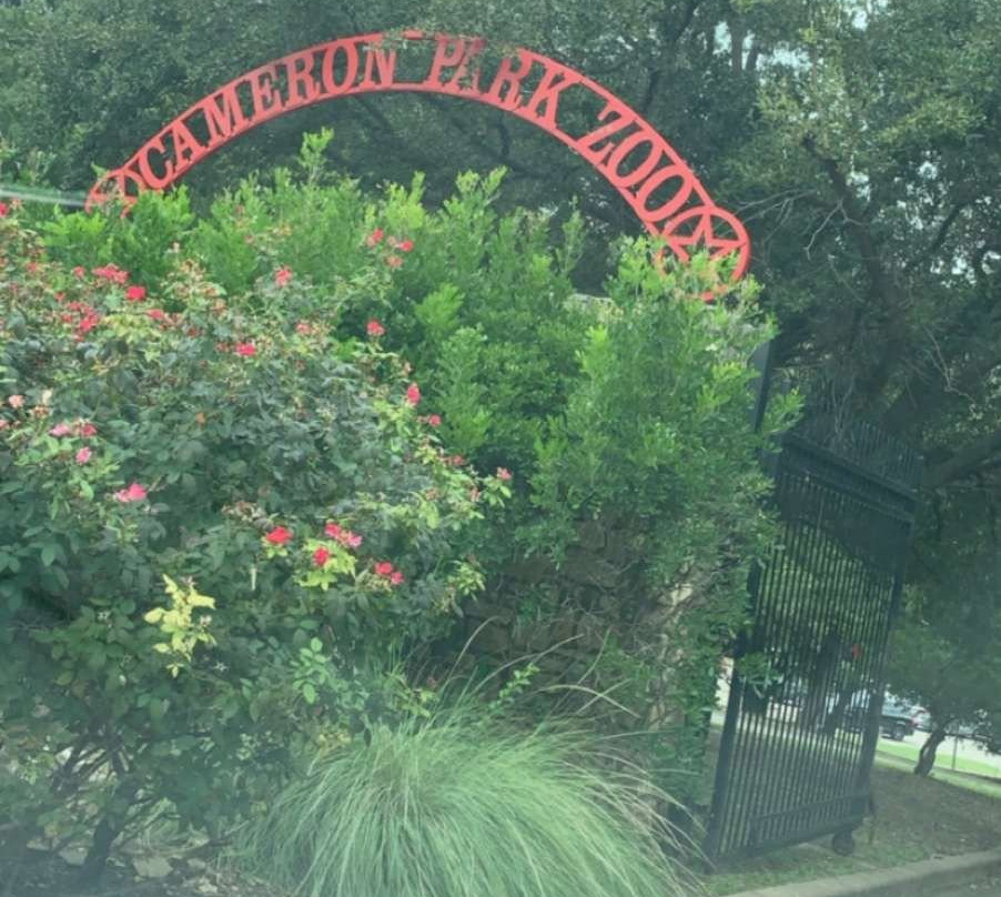 Cameron Park Zoo-韦科必去景点