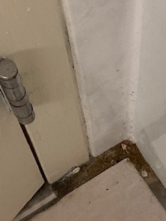 Bangor Grande Hotel & Conference Center主图