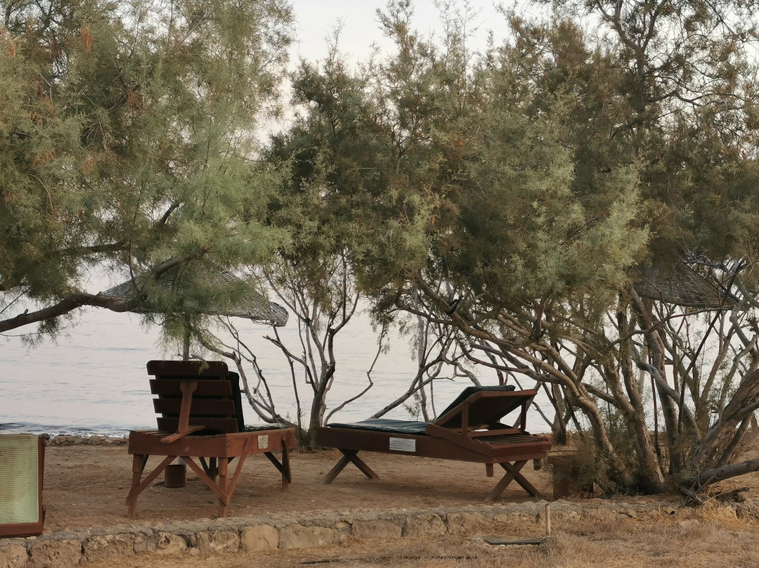 Riviera Beach Bungalows主图