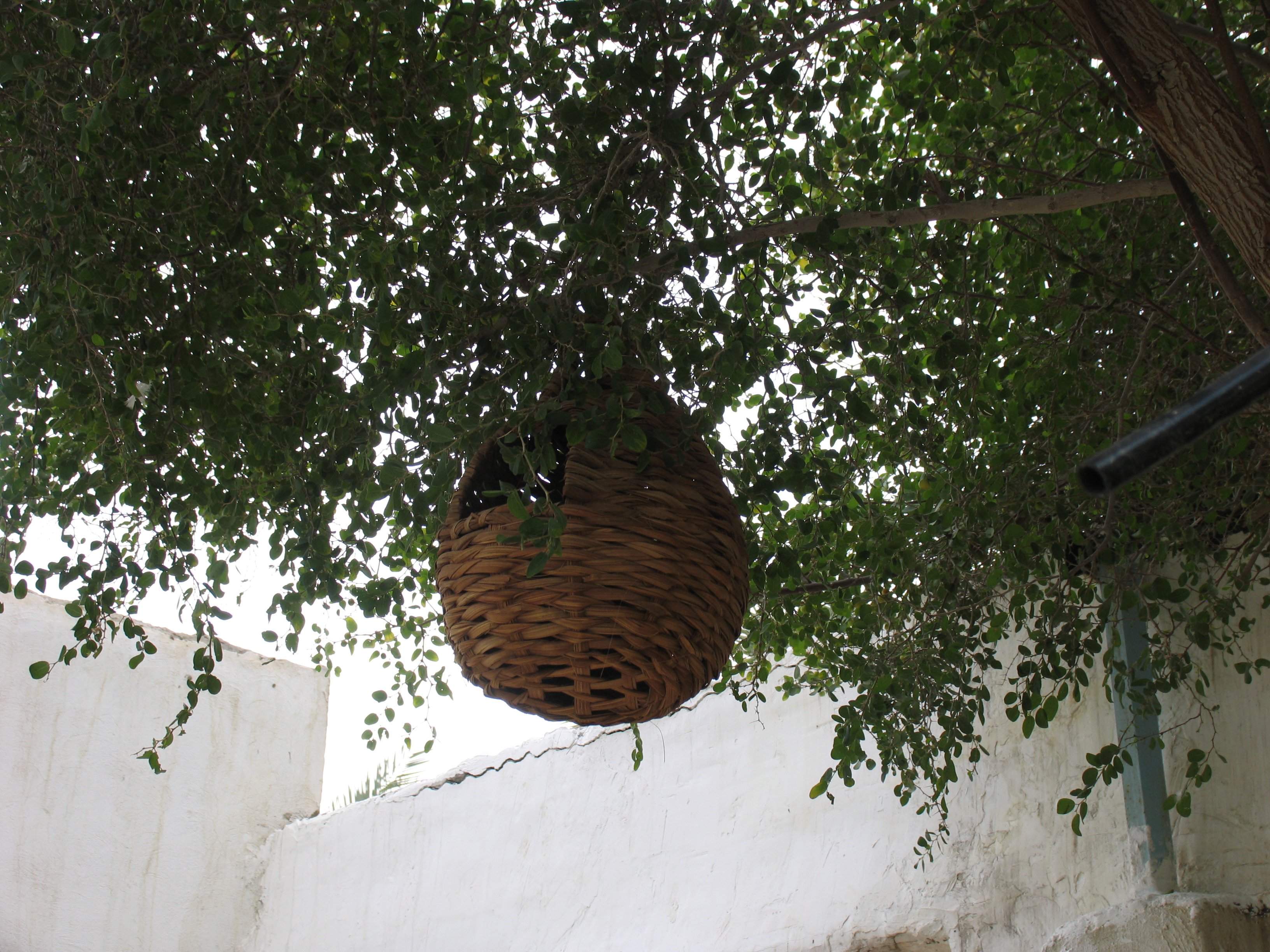 Mr Amini’s House-酒店景观