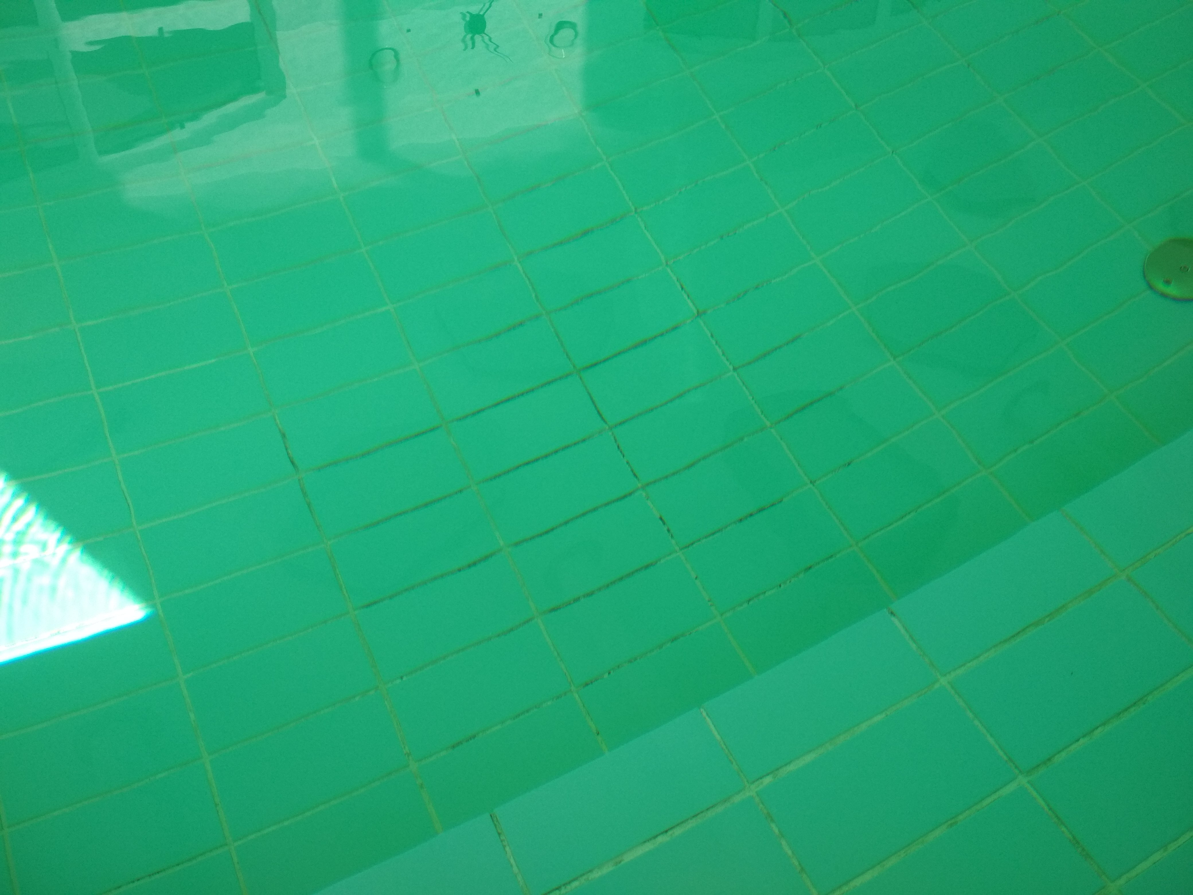 Pałac Pakoszów-泳池