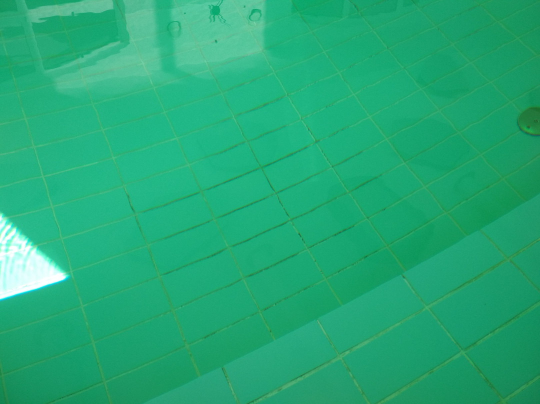 Pałac Pakoszów主图