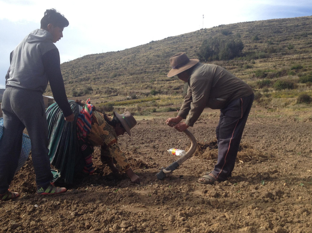 Yampu Tours-科帕卡巴纳必去景点
