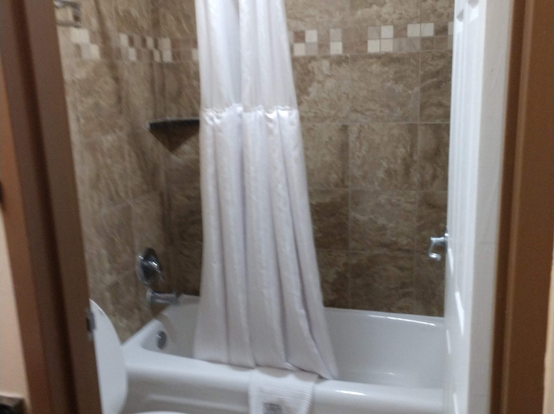 奥兰多基西米红狮酒店主图