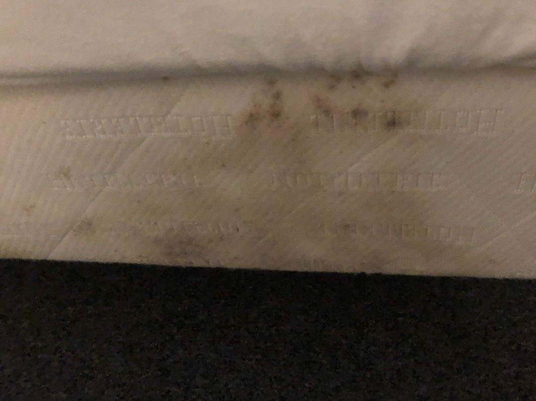 Hotel de France主图