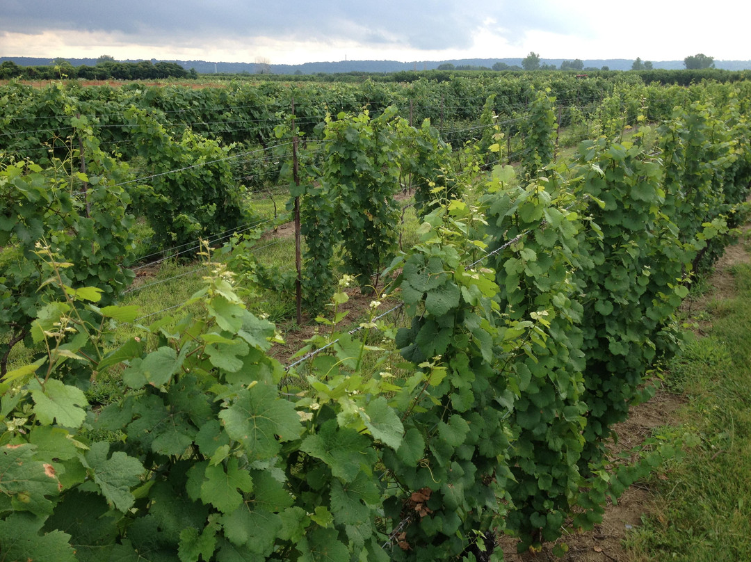 JT Farms-滨湖尼亚加拉必去景点