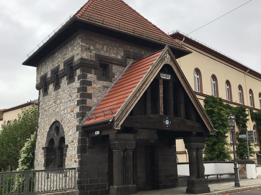 Ritter-von-Marx-Brücke-巴特洪堡必去景点