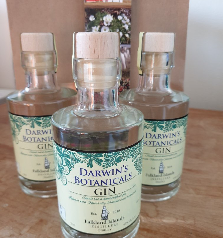 Falkland Islands Distillers-Stanley必去景点