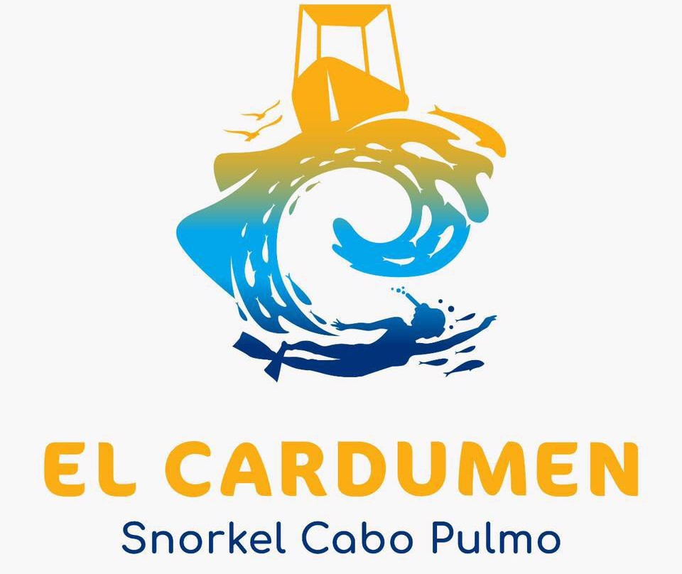 Tours El Cardumen de Cabo Pulmo景点图片