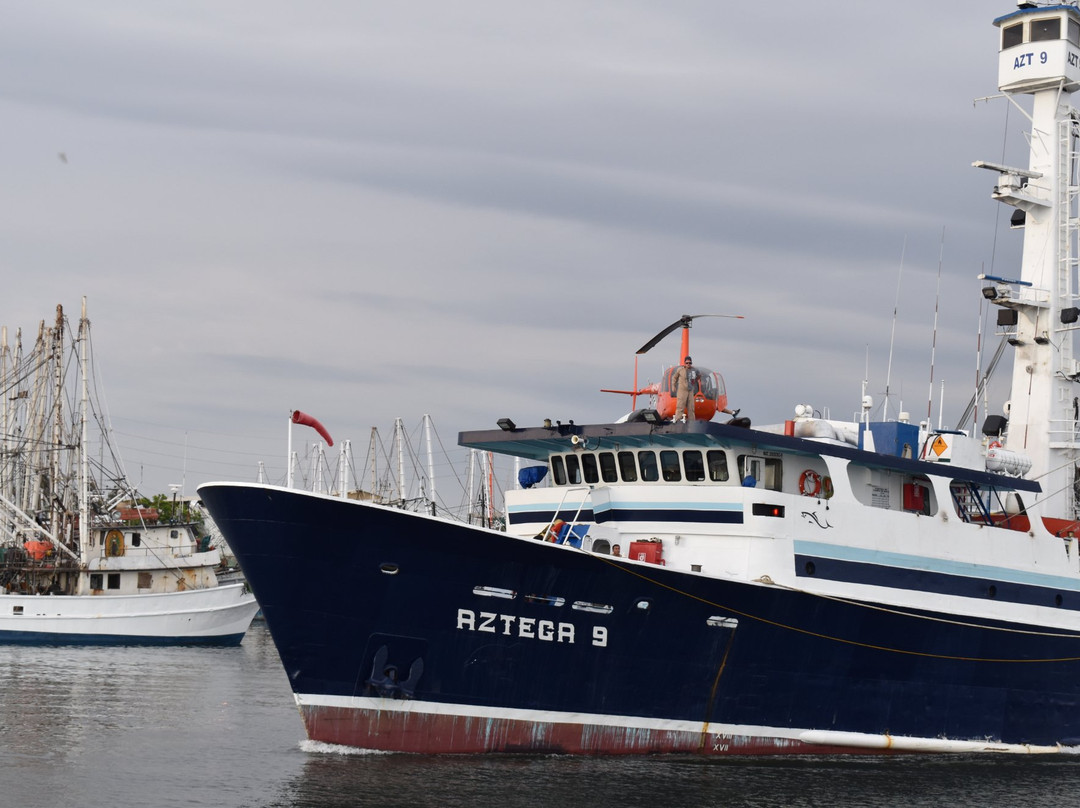 Yate Fiesta-马萨特兰必去景点