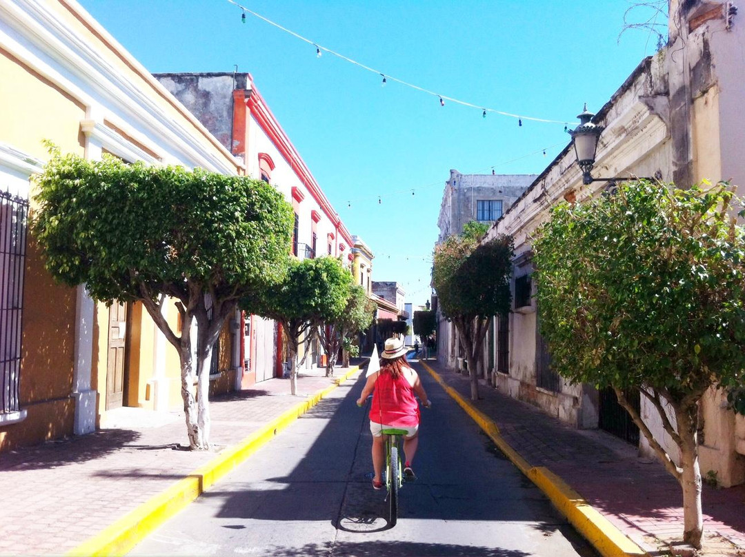 Sea Breeze Bike Rentals-马萨特兰必去景点