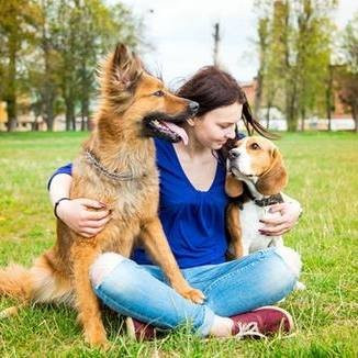 Countyline旅游景点-Paws Valley Dog Park