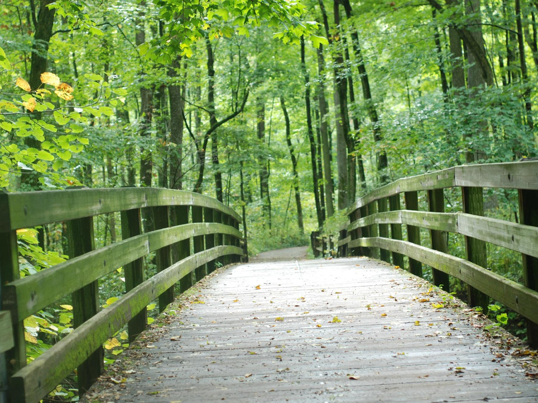 俄亥俄旅游景点-Sharon Woods