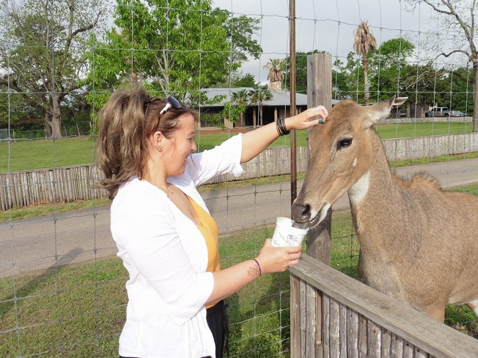 Gone Wild Safari Park景点图片