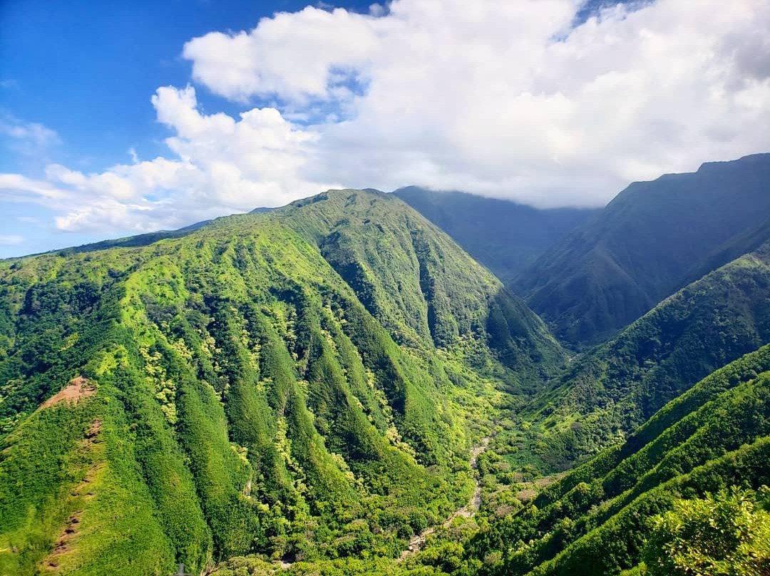 Waiheʻe Ridge Trail景点图片