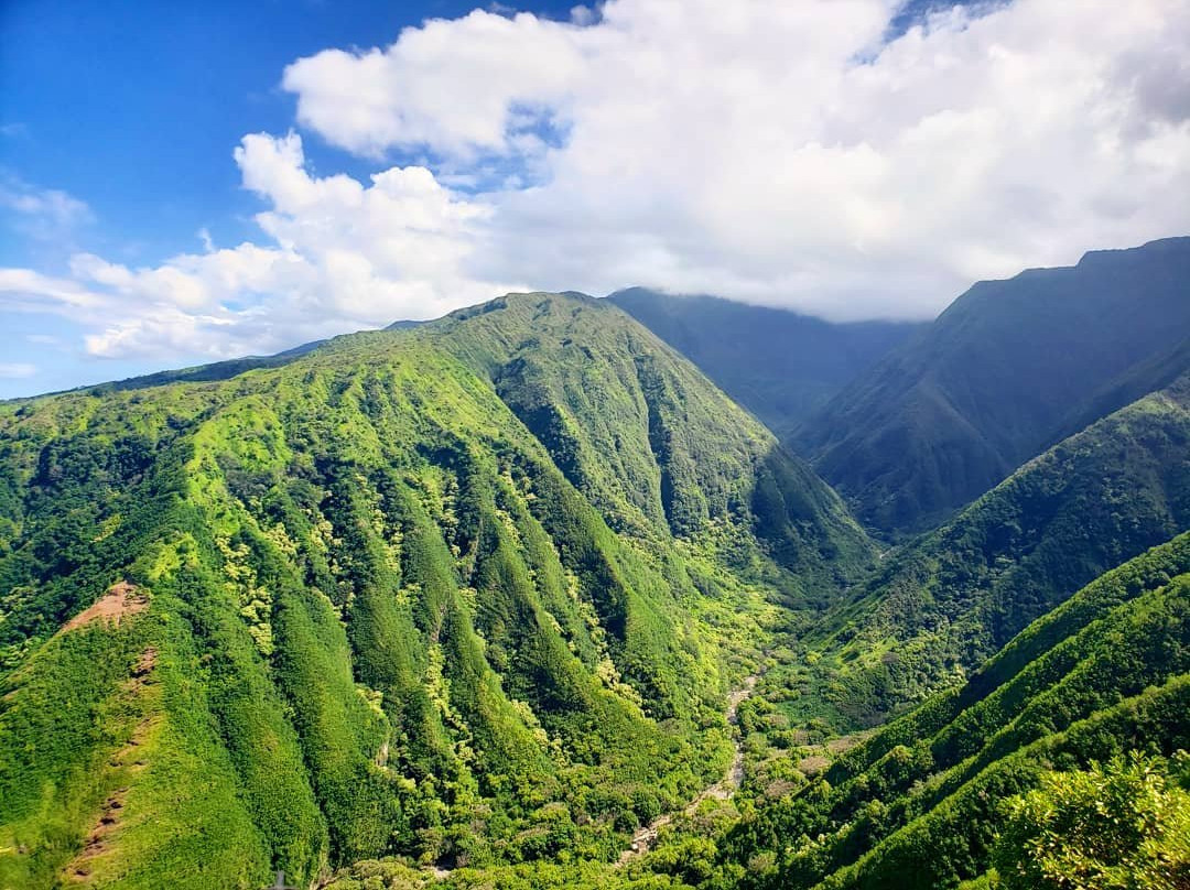 Waiheʻe Ridge Trail