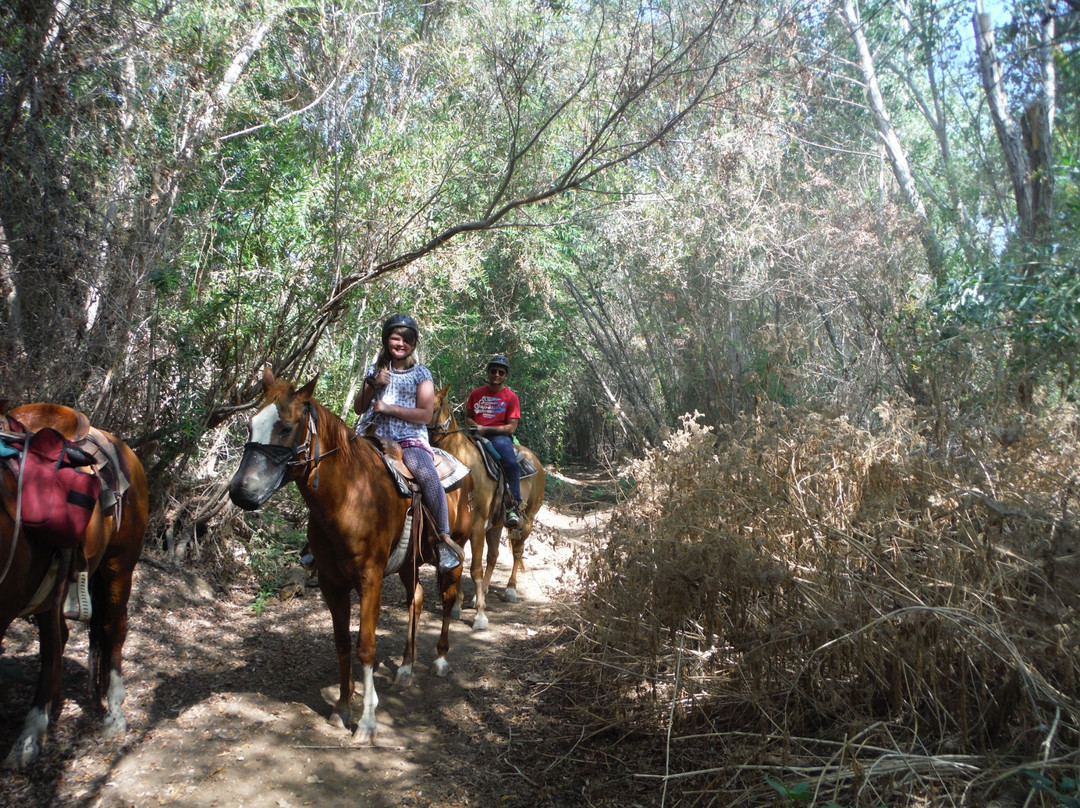 Western Trails Horseback Riding - Private Rides景点图片