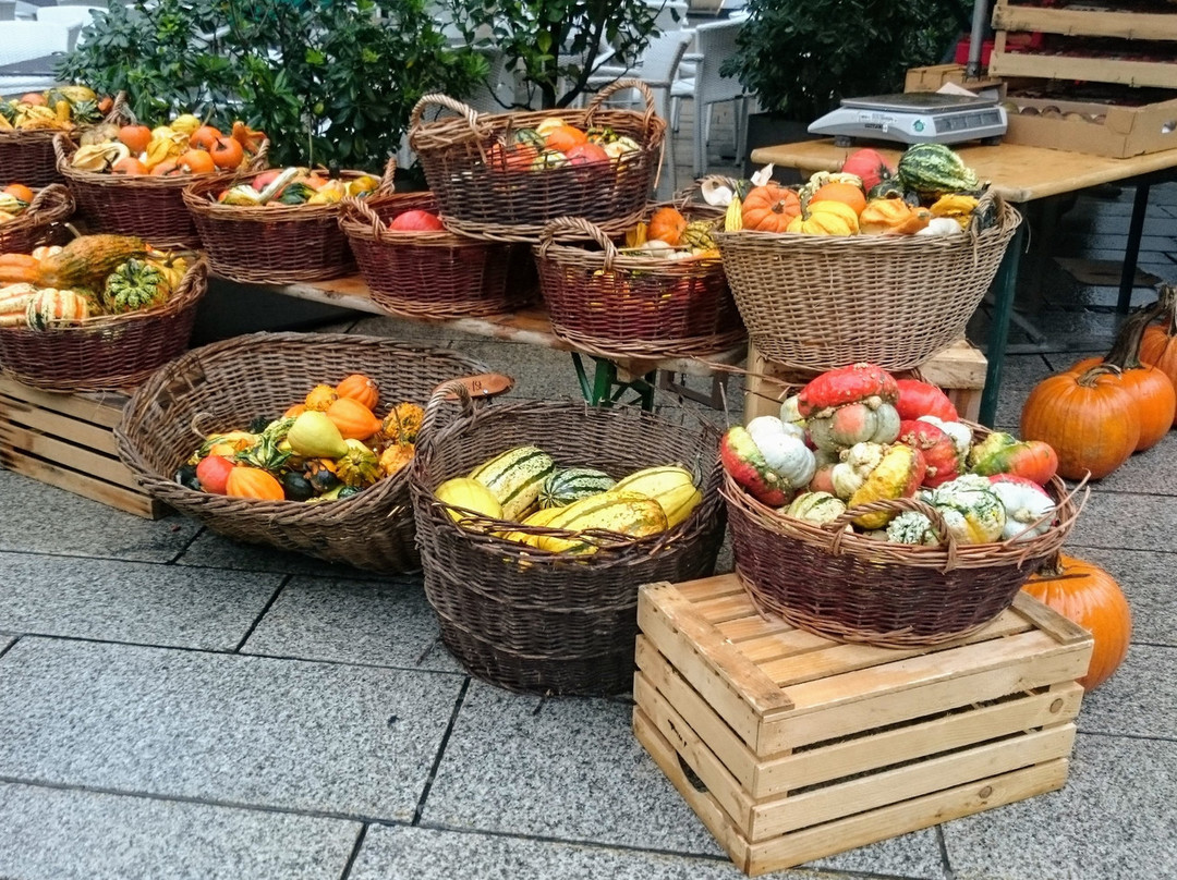 Dornbirner Marktplatz-多恩比恩必去景点
