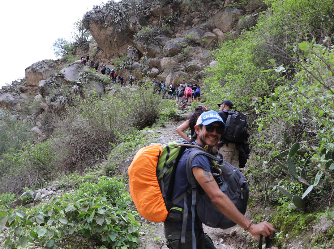 CUMBRES PERU ADVENTOURS-阿雷基帕必去景点