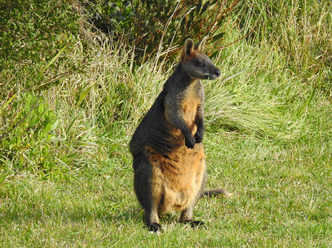 Cape Otway Lightstation Acommodation主图