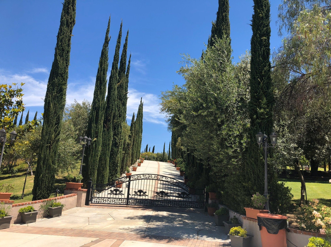 Mount Palomar Winery-特曼库拉必去景点