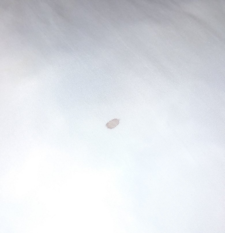 Super 8 by Wyndham Rock Springs主图