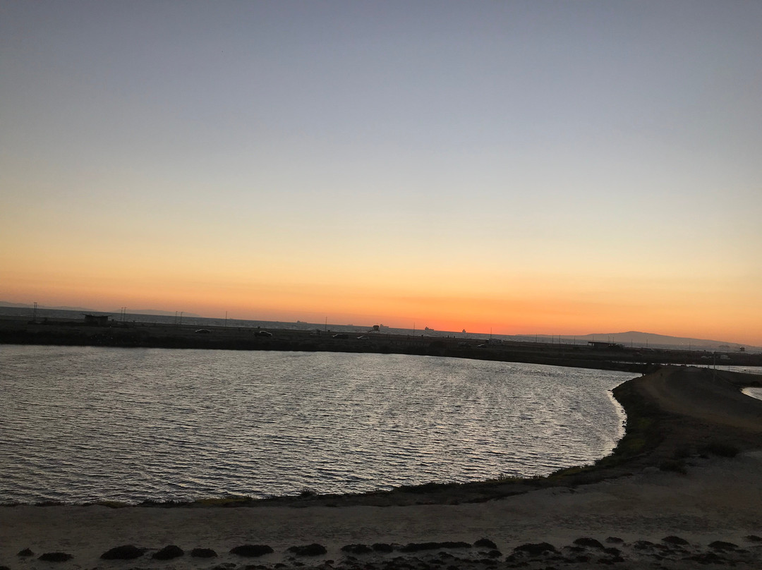 Bolsa Chica Ecological Reserve-亨廷顿海滩必去景点