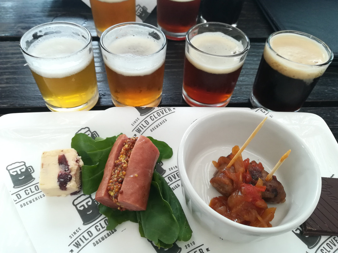 Wild Clover Breweries-斯泰伦博斯必去景点