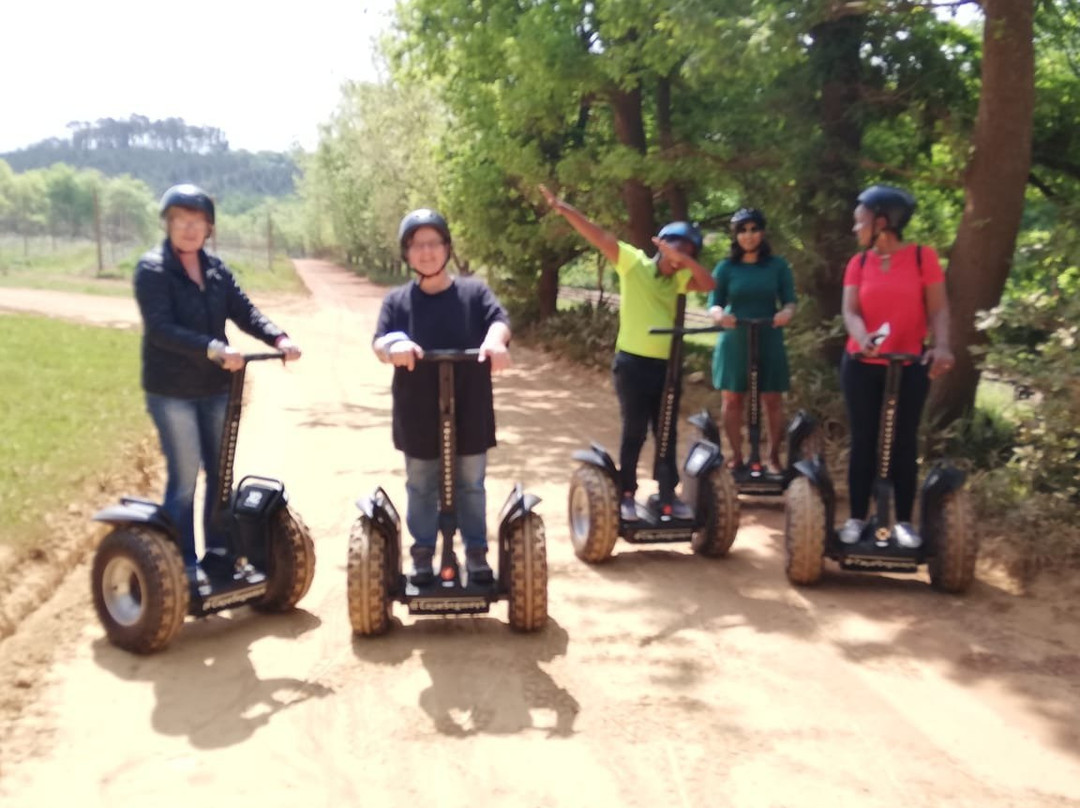 Cape Segways-Elgin必去景点