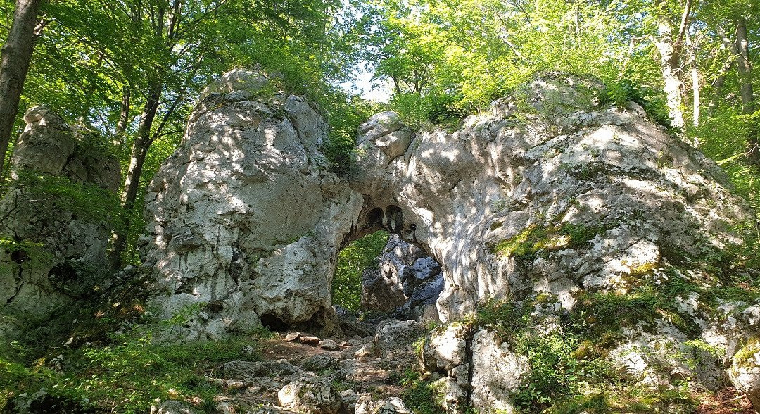 The Twardowski Gate景点图片