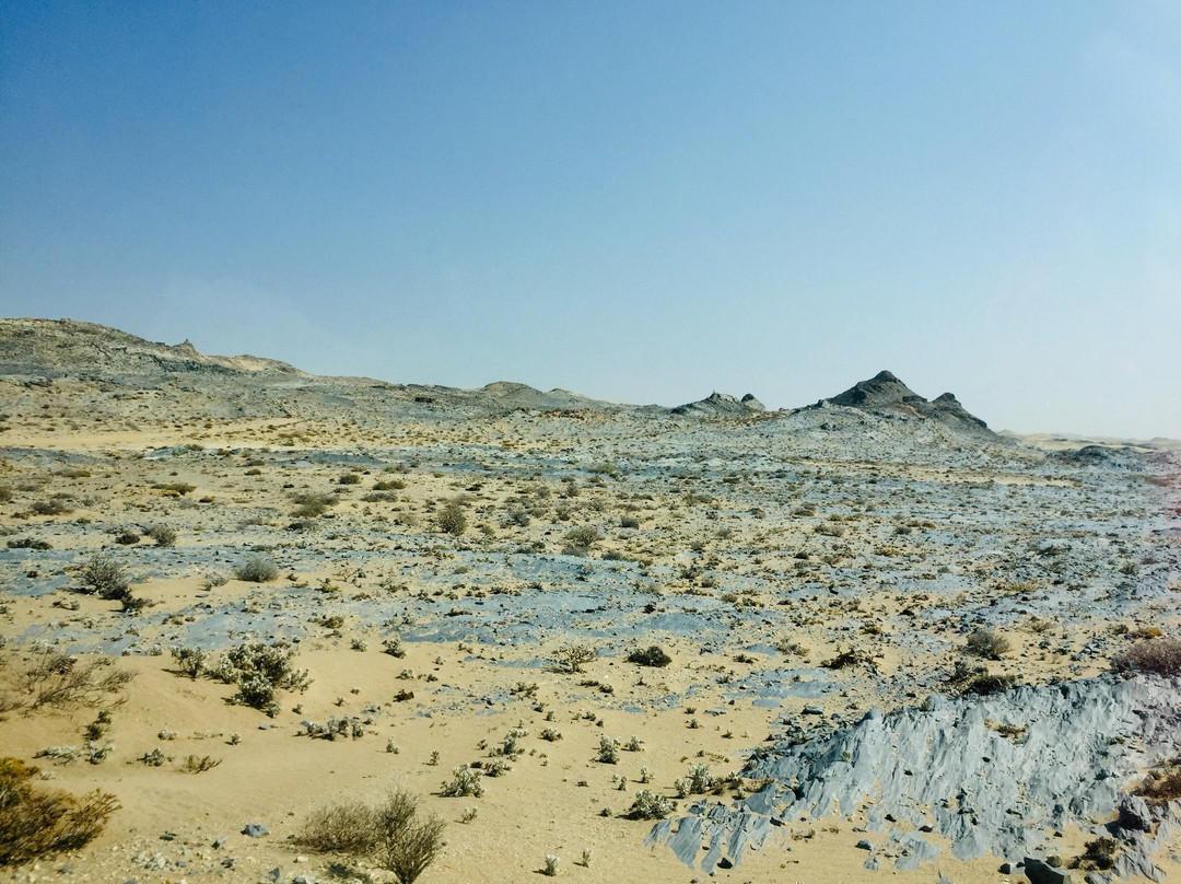 Coastways Safaris - Pomona & Bogenfels Tour-吕德里茨必去景点