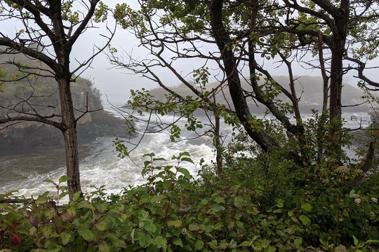 City Tour of Historic Saint John - Saint John Transit-圣约翰必去景点