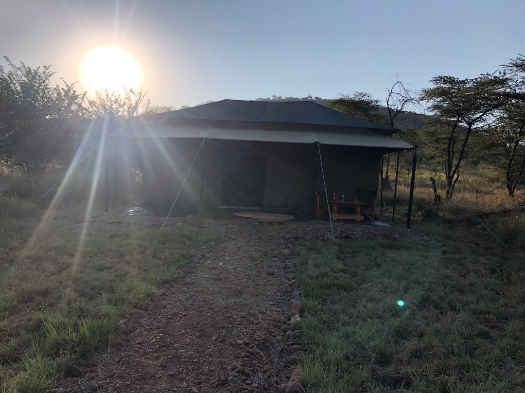 Wildtrip Safaris-Dar es Salaam必去景点