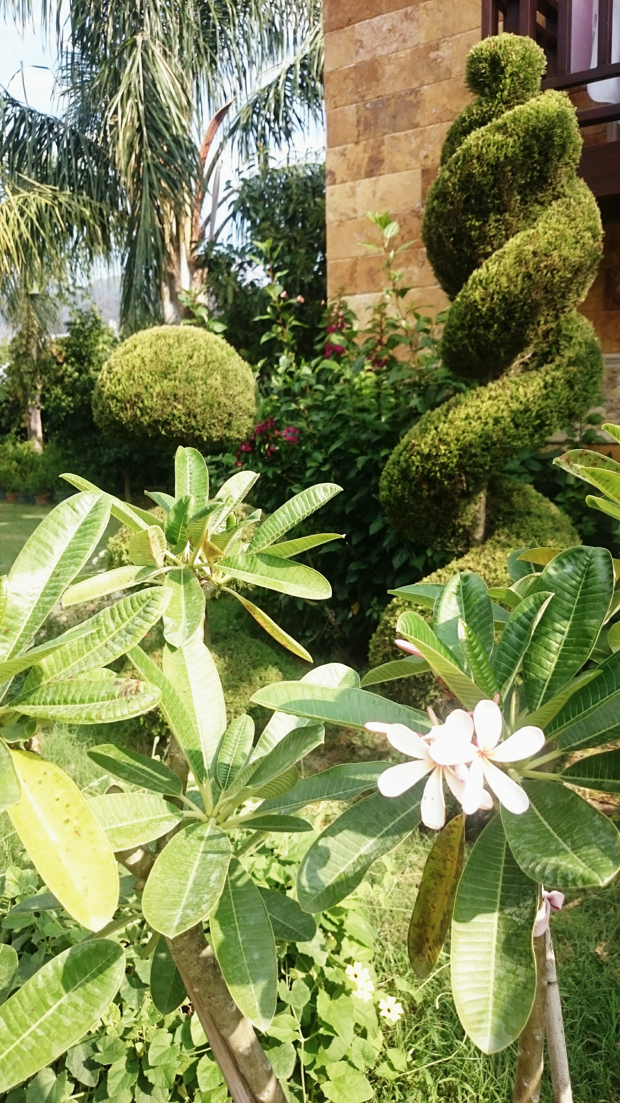 Cirali Hera Hotel-浴室